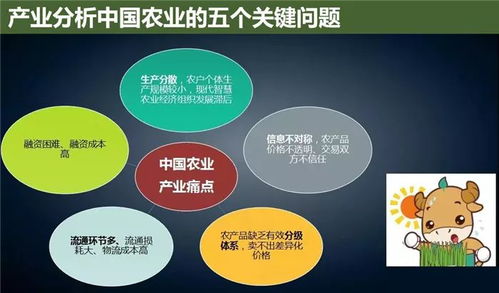 云威榜第475期 互聯網數據服務賦能智慧農業，大數據解決方案引領產業革新